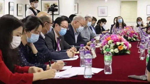 艺术香港大文传媒集团举办文化座谈会 促进东西方文化艺术交流